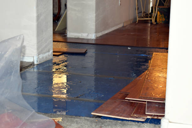 Professional Water Damage technician working in Burghill, OH